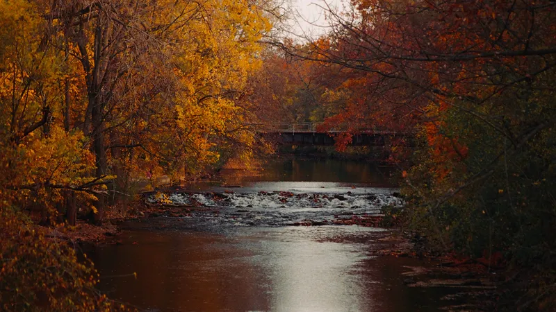 Red Cedar River in East Lansing in the fall