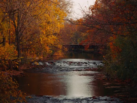 Red Cedar River in East Lansing in the fall
